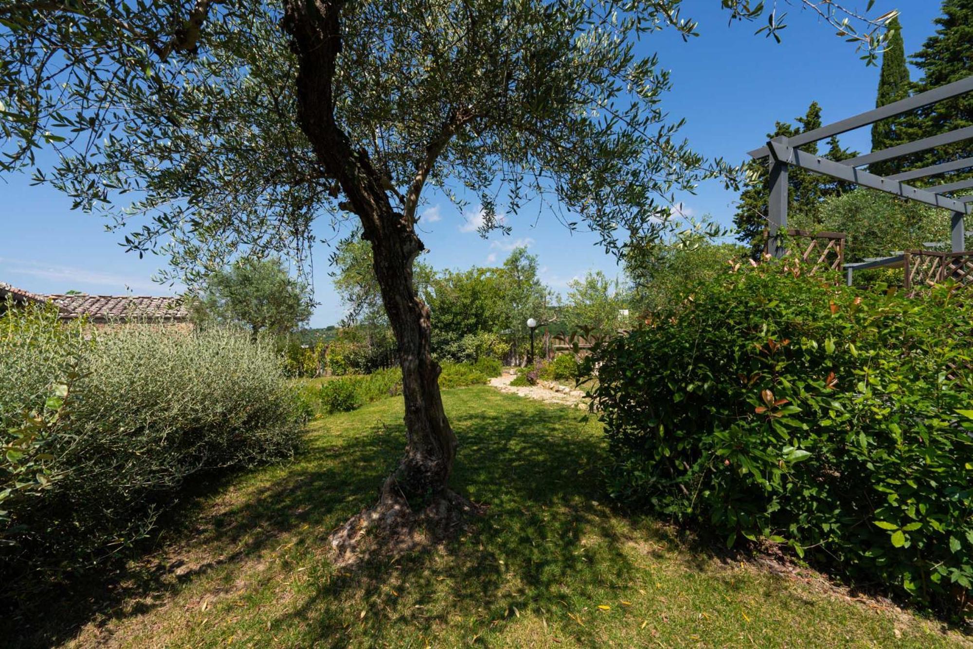 Ferienwohnung Casa Alta Greve in Chianti Exterior foto